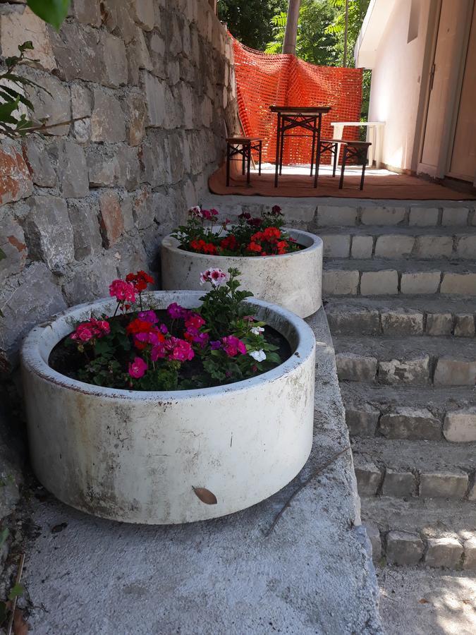 ريسان Apartmani Viza المظهر الخارجي الصورة